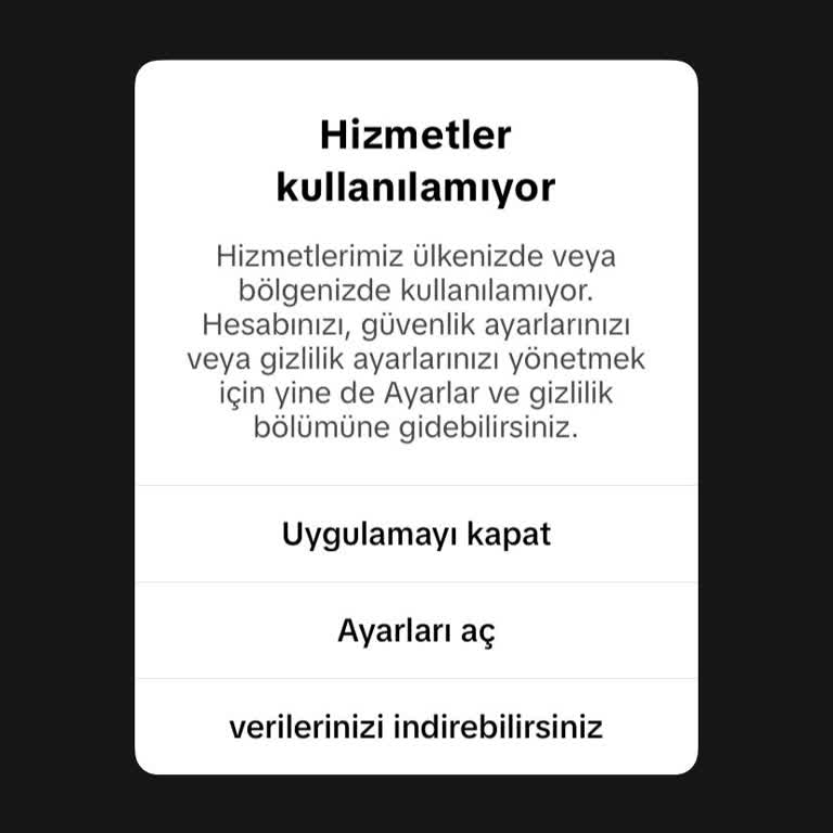 TikTok Hesabına Erişim Sorunu