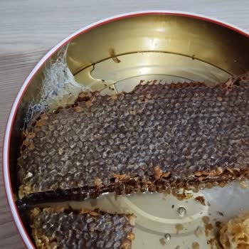 Küflenen Bal Ve İlgisiz Müşteri Hizmetleri