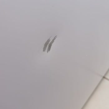 Simfer Derin Dondurucu Montajında Çizik Sorunu