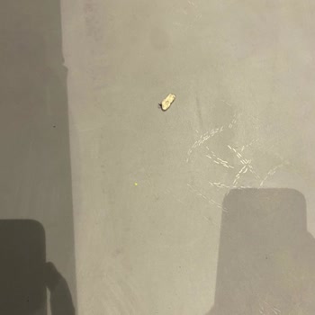 Emaar AVM Playland'de Ebeveyn Ücreti Ve Hijyen Sorunu