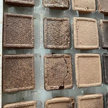 Nestle Ignored My Complaints About Rotten and Worm-Infested Products for 1.5 Months