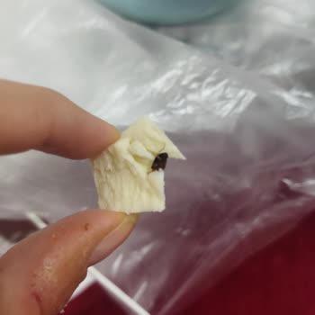 Üründen Çıkan Yabancı Cisimler Şaşırttı