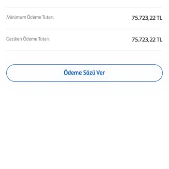 Fibabanka'nın Gecikmeli Borç Sorunu