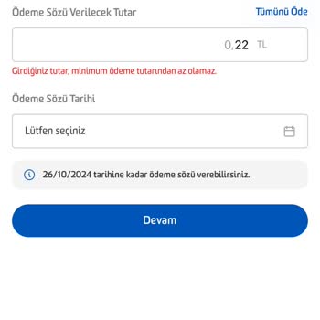 Fibabanka'nın Gecikmeli Borç Sorunu