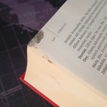 Hasarlı Kitap Teslimatı Ve Hayal Kırıklığı