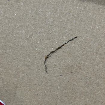 Burgerde Tel Tehlikesi: Güvenlik İhlali!