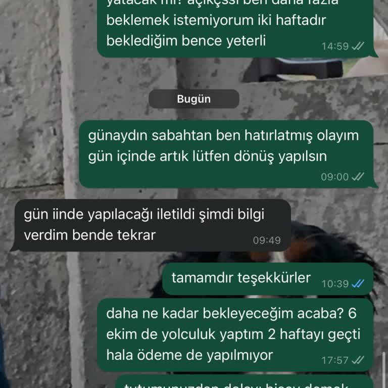 Efe Tur İle Kaybolan Valiz Ve Ödeme Sorunu