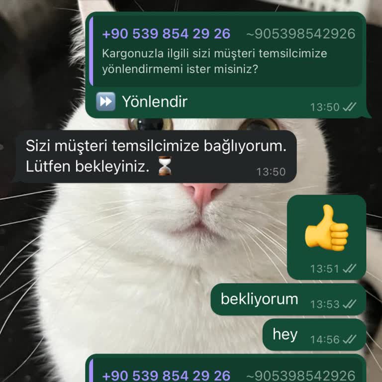 Teslim Edilemeyen Kargo Ve Ulaşılamayan Müşteri Hizmetleri