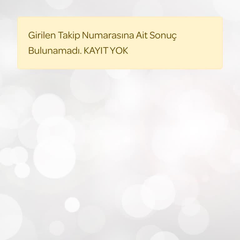 Kayıp Kargo Ve İade Süreci Belirsizliği