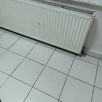 Yedikule Hastanesi'nde Temizlik Skandalı: Pisliğin İzahı Yok!