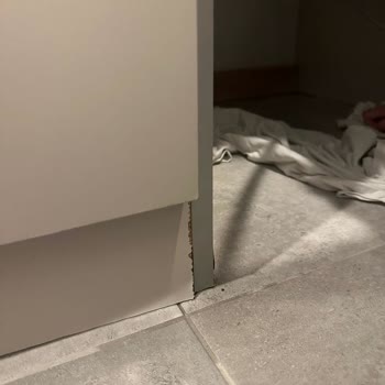Yanlış Kurulum Sonrası Su Baskını Ve İlgisizlik