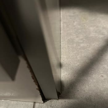 Yanlış Kurulum Sonrası Su Baskını Ve İlgisizlik