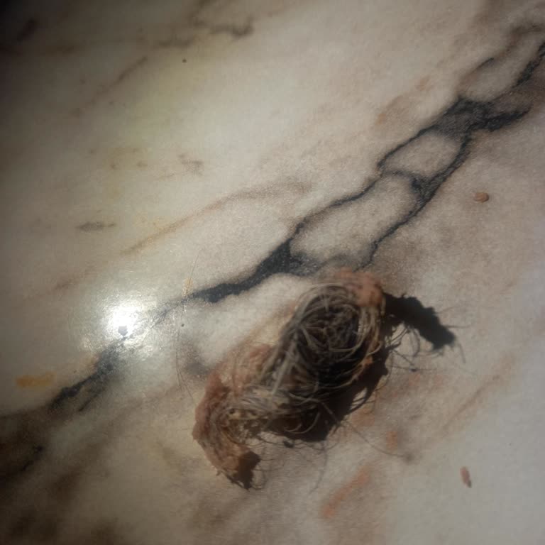 Trendyol GO'da Hijyen Skandalı: Çorbadan Çıkan Kıl Şoku!