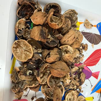 Organikbahcemaydin Şikayeti