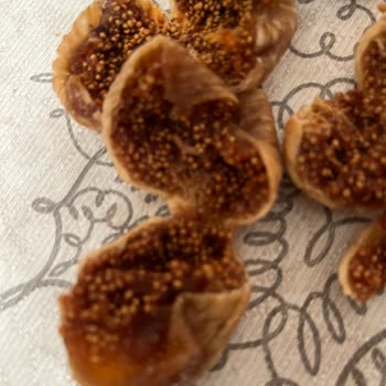 İncirden Çıkan Kurtlar Ve Hayal Kırıklığı