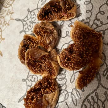 İncirden Çıkan Kurtlar Ve Hayal Kırıklığı