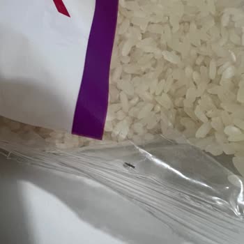 Pirinç Paketinde Böcek Şoku