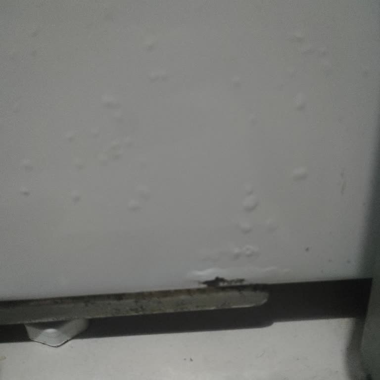 Buzdolabındaki Boya Kabarmaları Ve Fabrikanın Yetersiz Çözümü