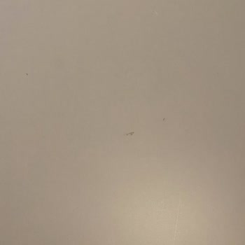 İletişimsizlik Ve Hatalı Ürün İadesi Sorunu