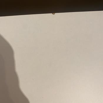 İletişimsizlik Ve Hatalı Ürün İadesi Sorunu