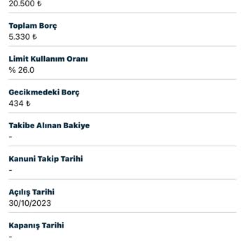 Findeks Raporundaki Gecikmeli Borç Sorunu