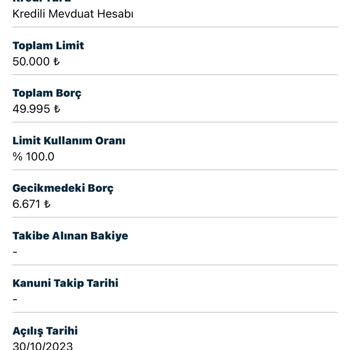 Findeks Raporundaki Gecikmeli Borç Sorunu