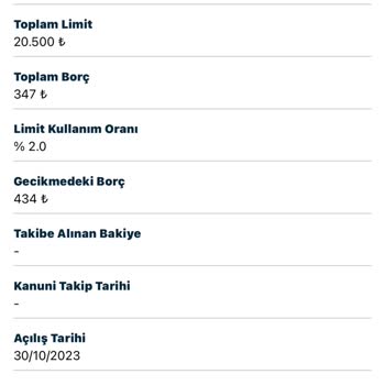 Findeks Raporundaki Gecikmeli Borç Sorunu