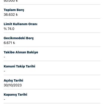 Findeks Raporundaki Gecikmeli Borç Sorunu