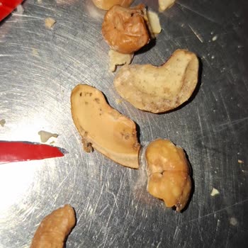 Migros'tan Aldığım Kaju Fıstıklarının Kalitesi Düşük