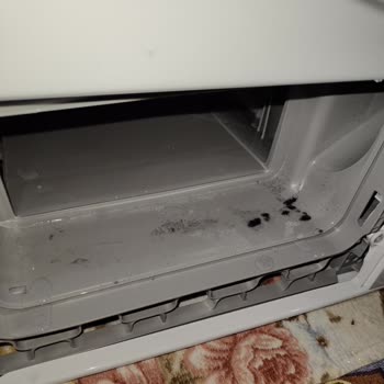 Altus Çamaşır Makinesi Hayal Kırıklığı