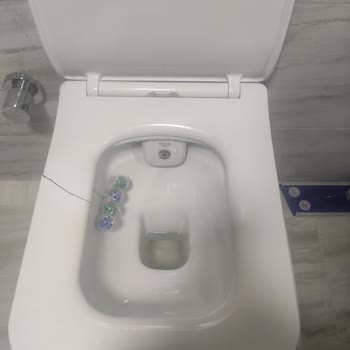 Kırılgan Klozet Kapağı Şikayeti