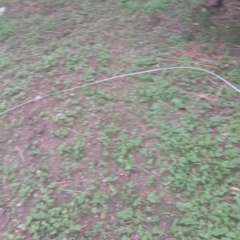 Bahçemdeki Elektrik Direği Ve Tel Çit Skandalı