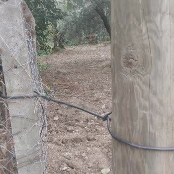 Bahçemdeki Elektrik Direği Ve Tel Çit Skandalı