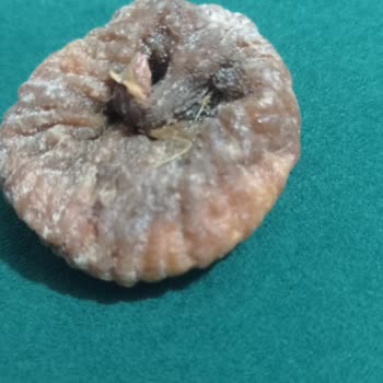 Amigo Kuru İncirden Beklenmedik Yabancı Madde Çıktı