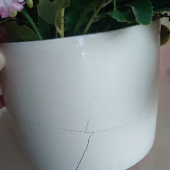 Çiçek Sepeti Siparişimdeki Hayal Kırıklığı