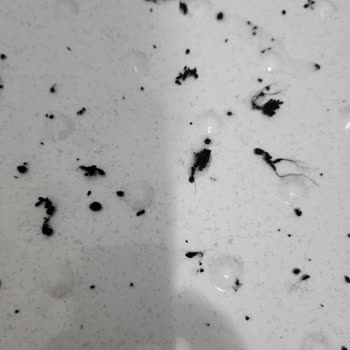 Sardonlu Eşofman Takımı Hayal Kırıklığı: Dökülen Şardon Ve İade Sorunu