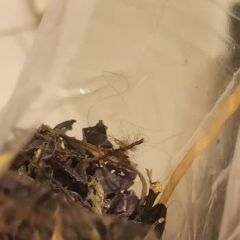 Ankara Cebeci Mağazasında Ürün Şaşkınlığı