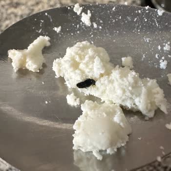 Vakumlu Lor Peynirinde Şok Edici Kirlilik