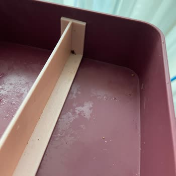 Samsung Bulaşık Makinesi: Çözülmeyen Sorunlar Ve İlgisiz Servis