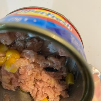 Superfresh Ton Balığında Şok Edici Böcek Skandalı