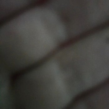 S23 Ultra Kamera Sorunu