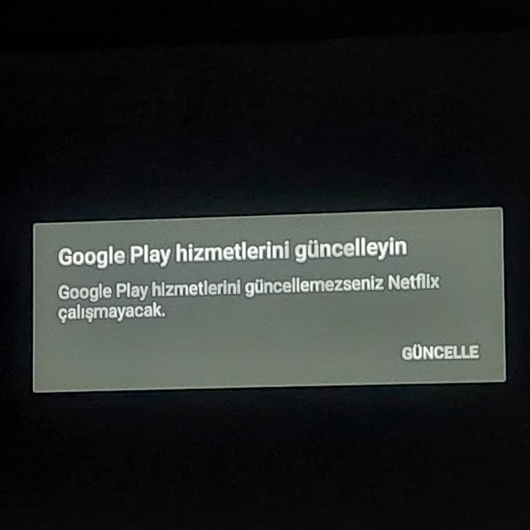 Netflix'e Giriş Sorunu: Acil Çözüm Talebi