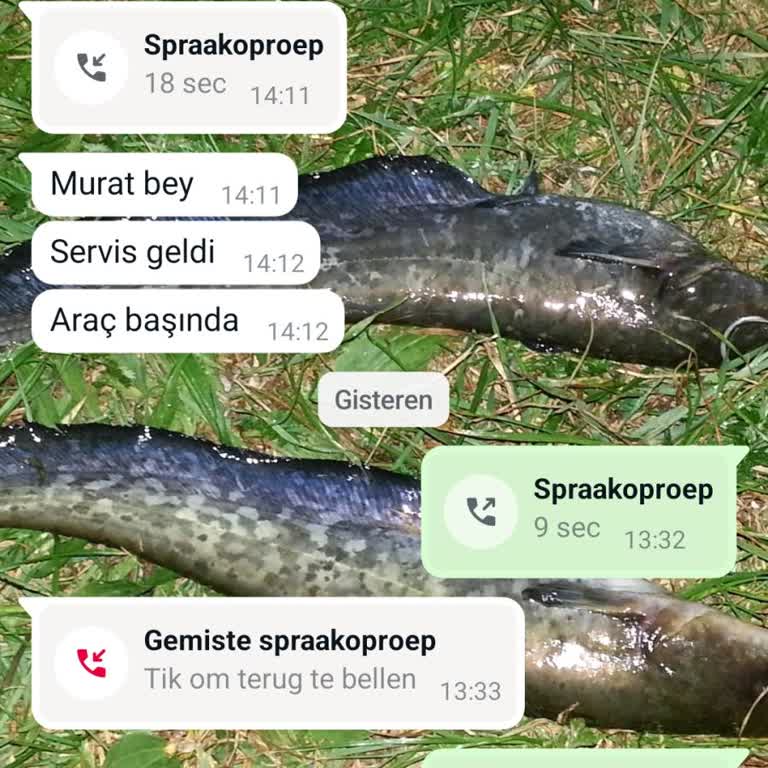 Araç Kiralama Sürecinde Haksız Kesinti Ve Akü Problemi