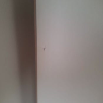 Modalife Eksik Ve Hasarlı Ürün Teslimatı Sorunu