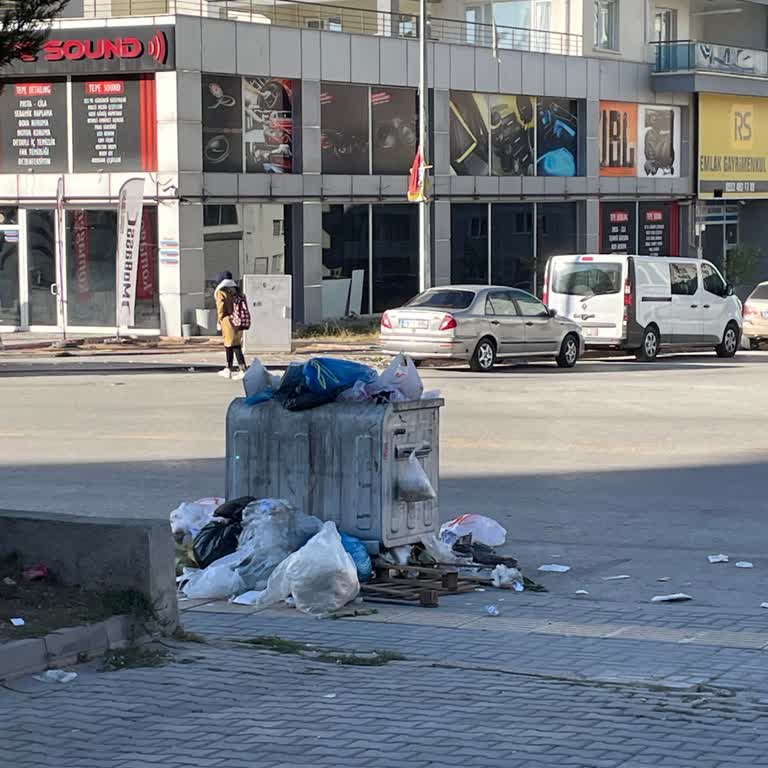 Çöp Toplama Hizmetindeki Aksaklıklar Ve Çevre Kirliliği Sorunu
