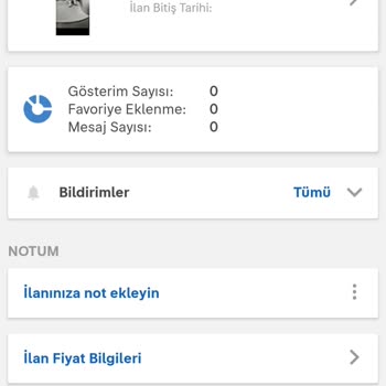 Kedi Sahiplendirme İlanı Sürekli Reddediliyor