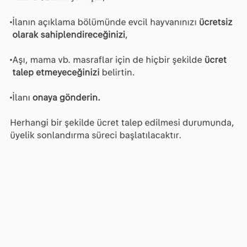 Kedi Sahiplendirme İlanı Sürekli Reddediliyor