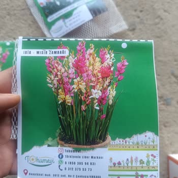 Tohum Siparişinde Hayal Kırıklığı