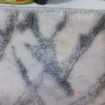 Star Halı Yıkama (Kayseri) Şikayeti