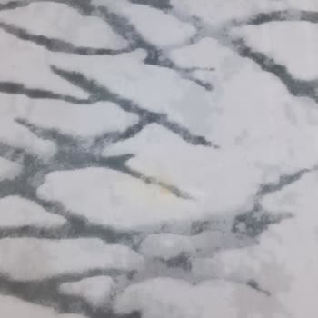 Star Halı Yıkama (Kayseri) Şikayeti